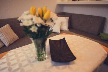 Фотографии Апартаменты Edaal Apartament г. Щецин (Польша) №1 Фото Апартаменты Edaal Apartament г. Щецин 1