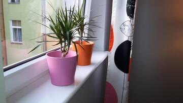 Фото номера Апартаменты Апартаменты Apartamenty Sedinum - Brama Portowa г. Щецин 34